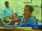 Un venado con graves heridas fue rescatado en Quito