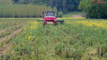 Maïs : des disques inclinés pour semer en direct