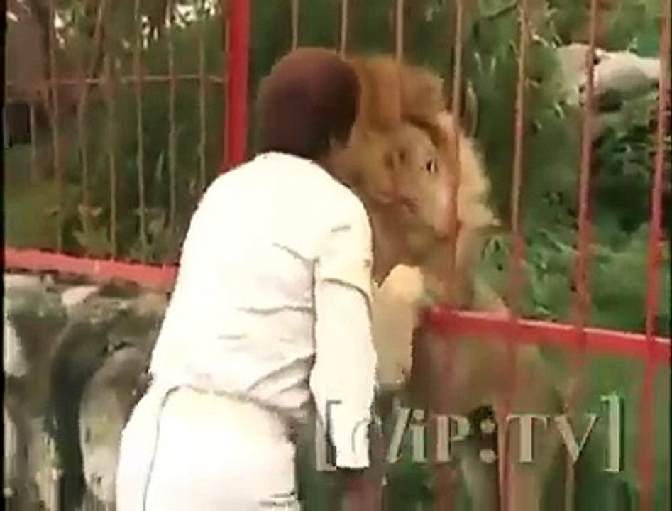 Amazing Love of an animal with human being