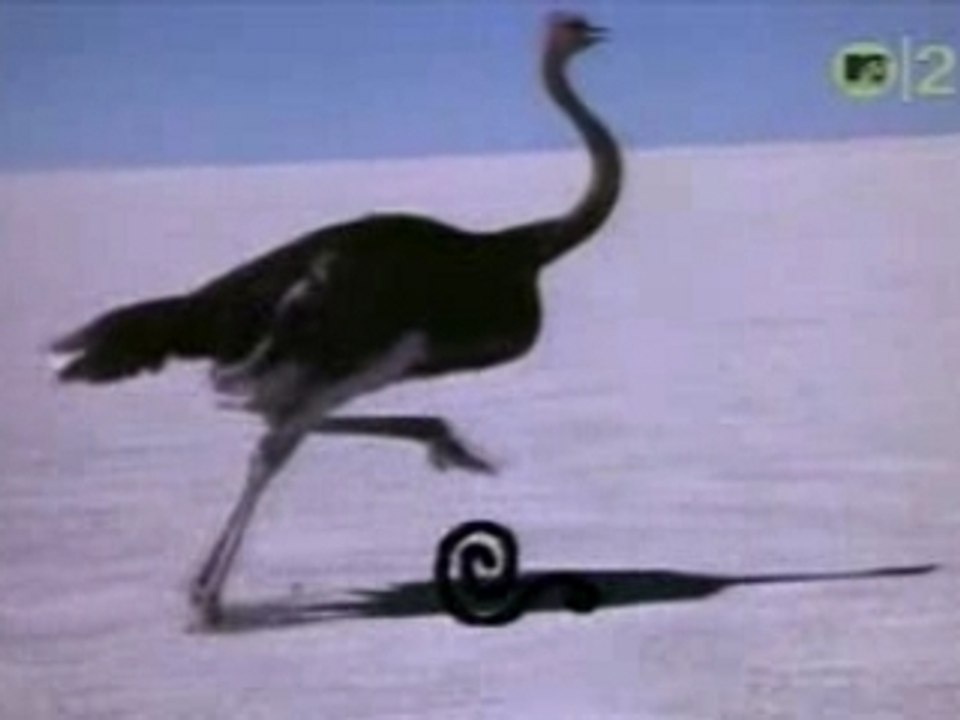 Talk Talk - It's my life