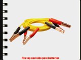 Coleman Cable 08445 12-Feet Light-Duty Booster Cables 8-Gauge