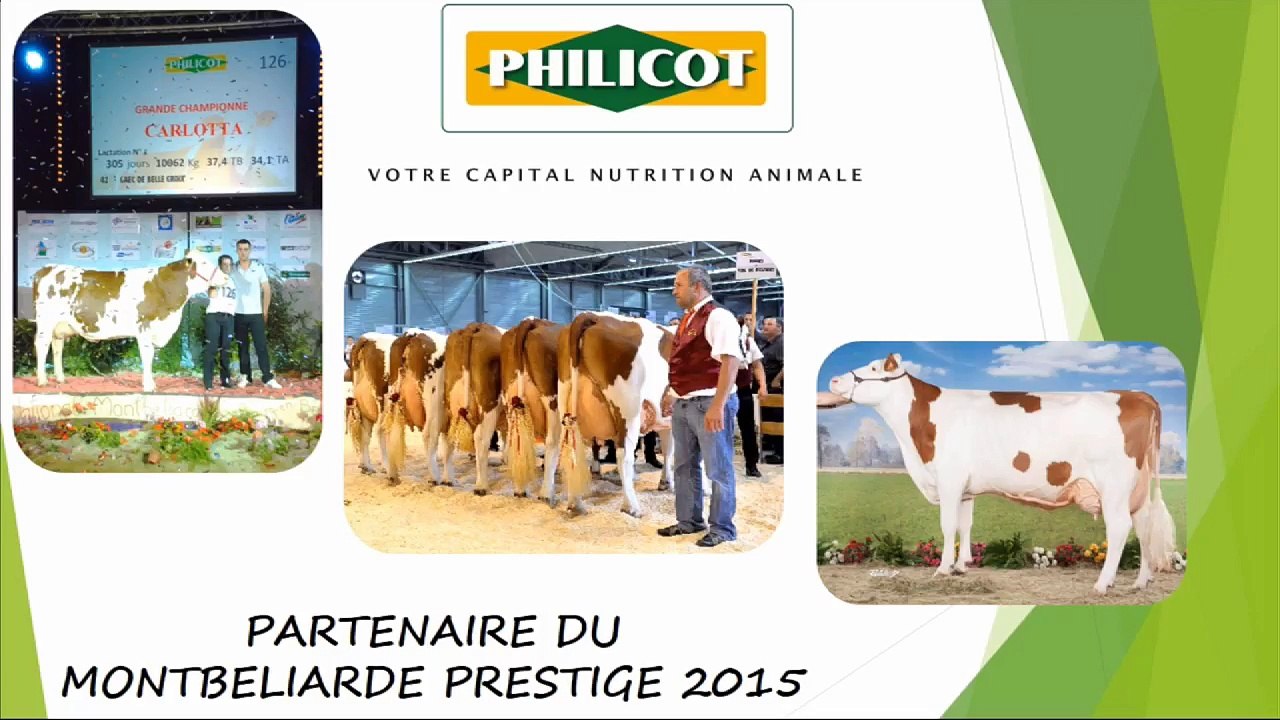 Montbéliard Prestige Championne Genisse