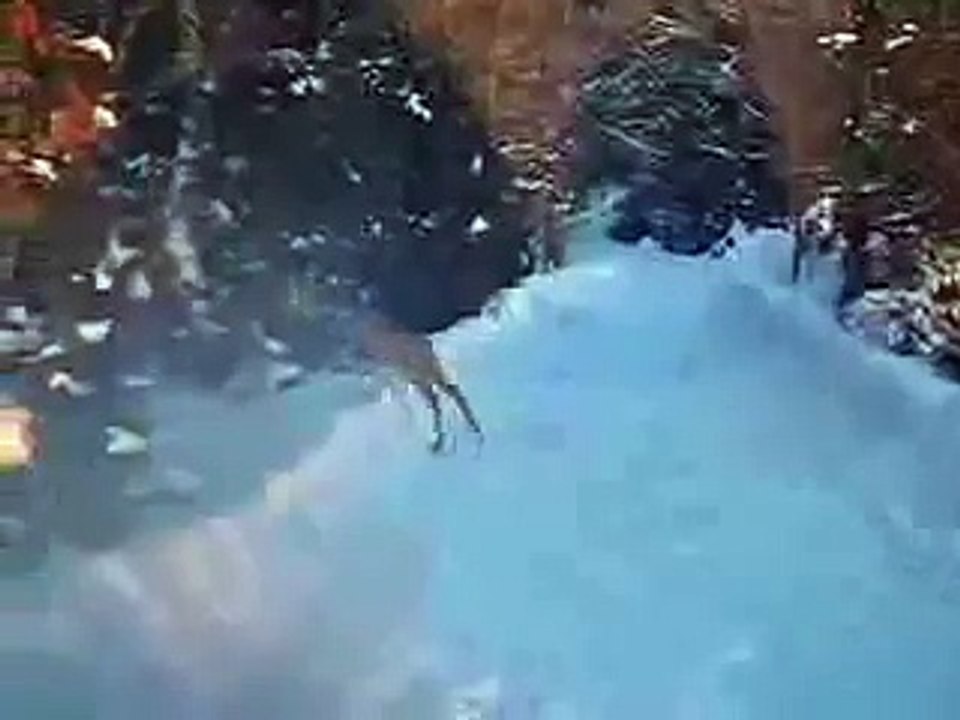 bambi spotting