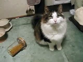 A yawn came out when...