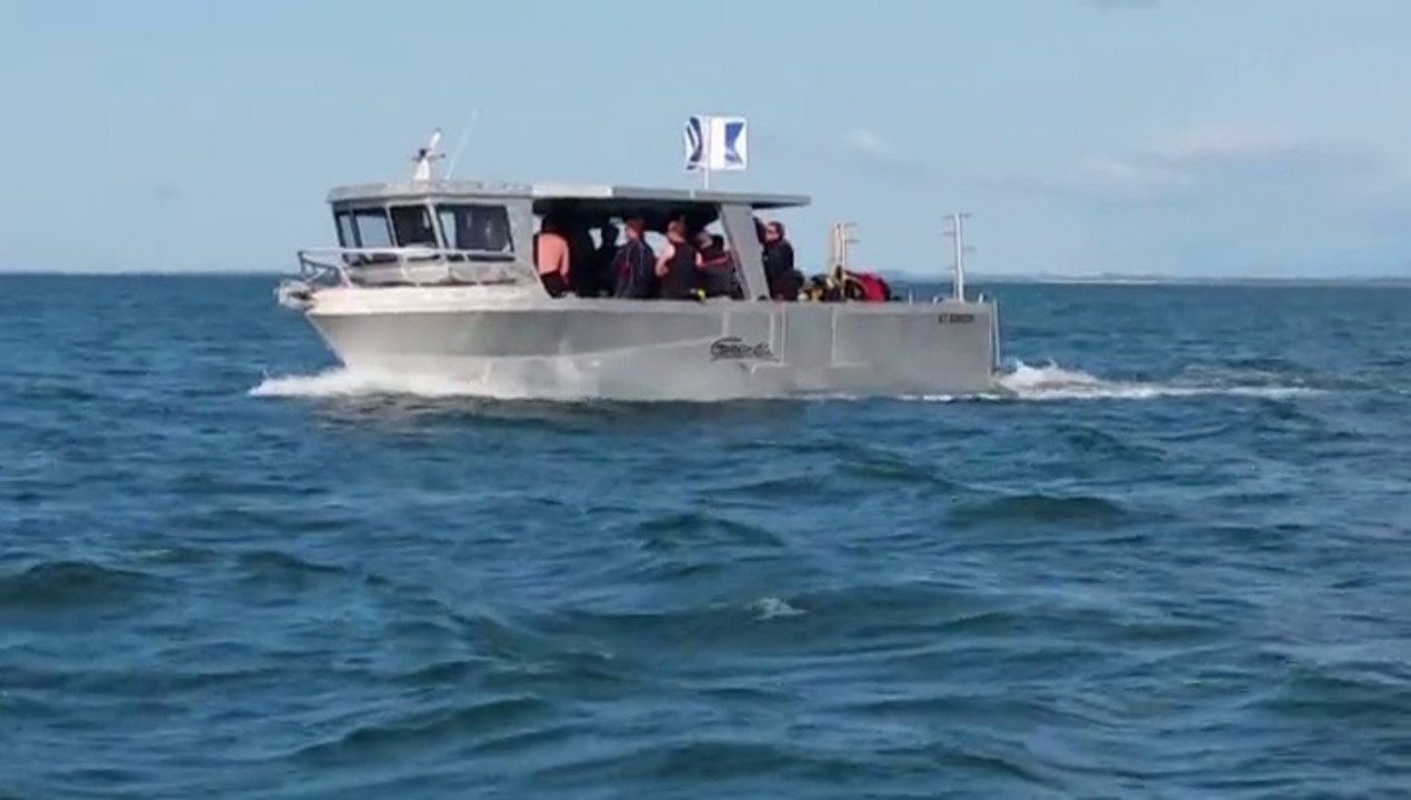 Plongée Cap d'Agde mai 2015