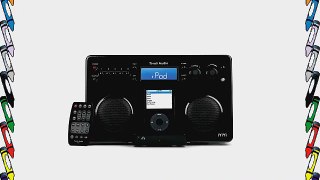 Tivoli iYiYi High-Fidelity AM/FM Stereo System with Alarm Clock and iPod Dock (Black/Silver)