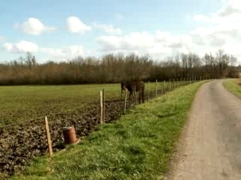 Photo 011