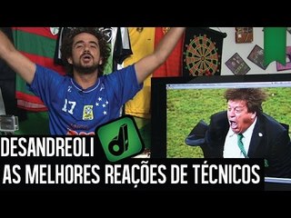 TOP 10 REAÇÕES DE TÉCNICOS - DESANDREOLI