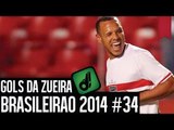 GOLS DA ZUEIRA - BRASILEIRÃO 2014 RODADA #34