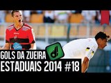 GOLS DA ZUEIRA - ESTADUAIS 2014 #18
