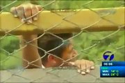 Joven Suicida en puente el incienso Guatemala