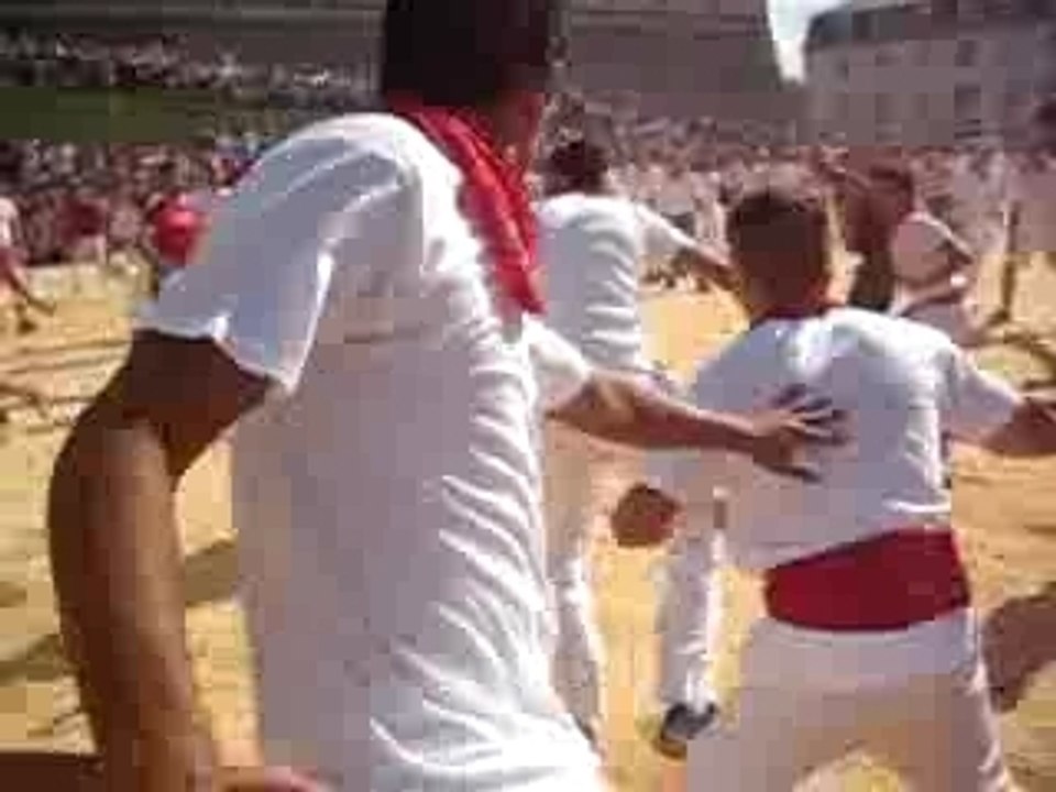 fetes de Bayonne vachettes