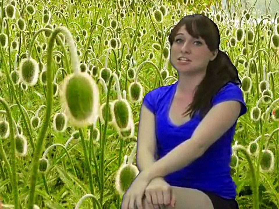 Strange Animal Facts 2, Hot Facts Babe Bethany