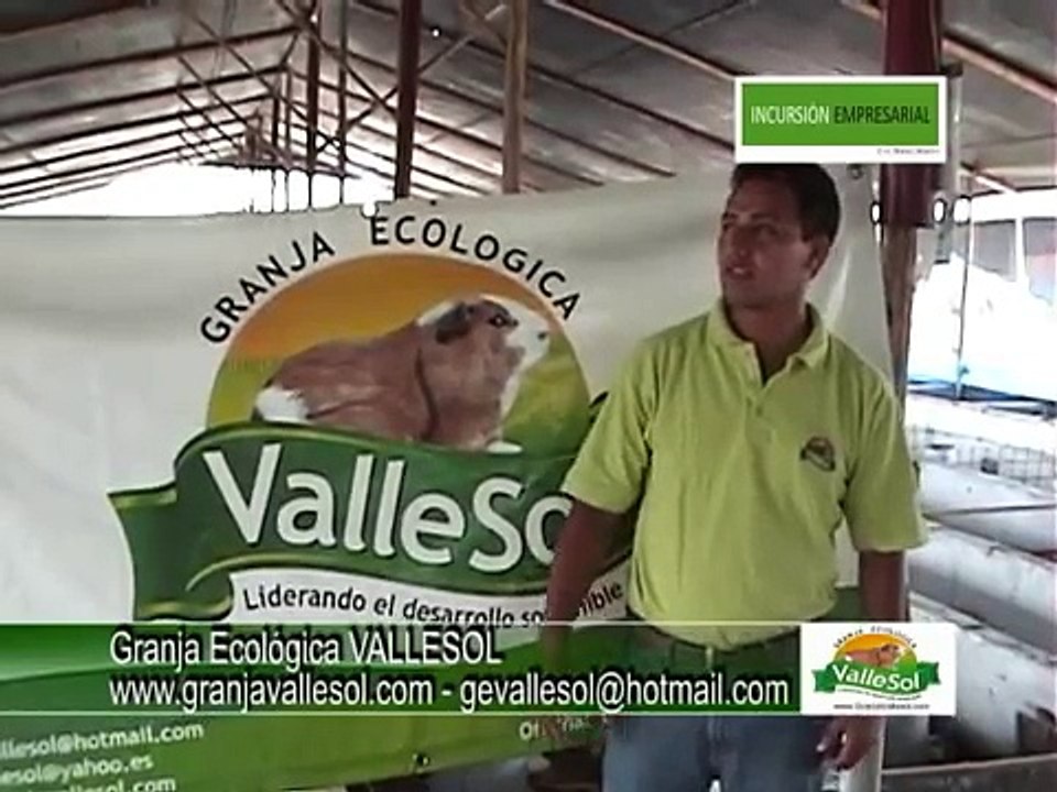 REPRODUCCIÓN DE CUYES