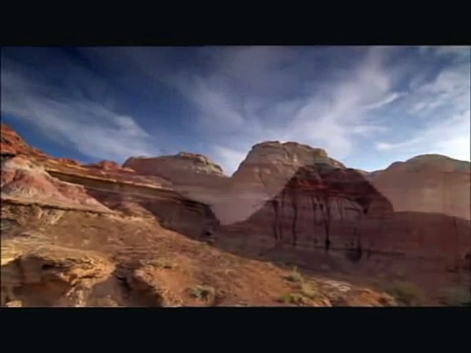 Roborovski hamsters - BBC 'Wild China'