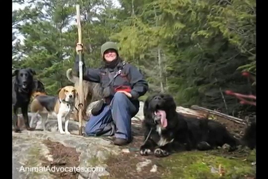 Chained & Freezing Dog: Pt 3 of Rescue