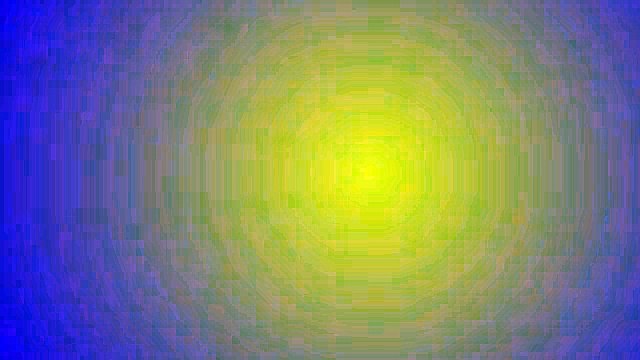 Yellowstone Tourists Interrupt Black Bears' Snack Time