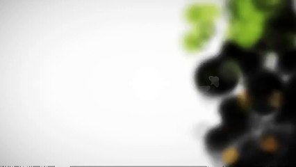 After Effects Project Files - I Am Elegant II - VideoHive 3614534