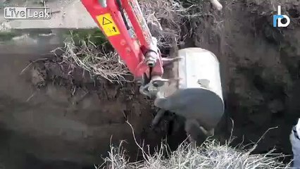 Kepçe Operatörünün İşçiye Yaptığı Komik Şaka