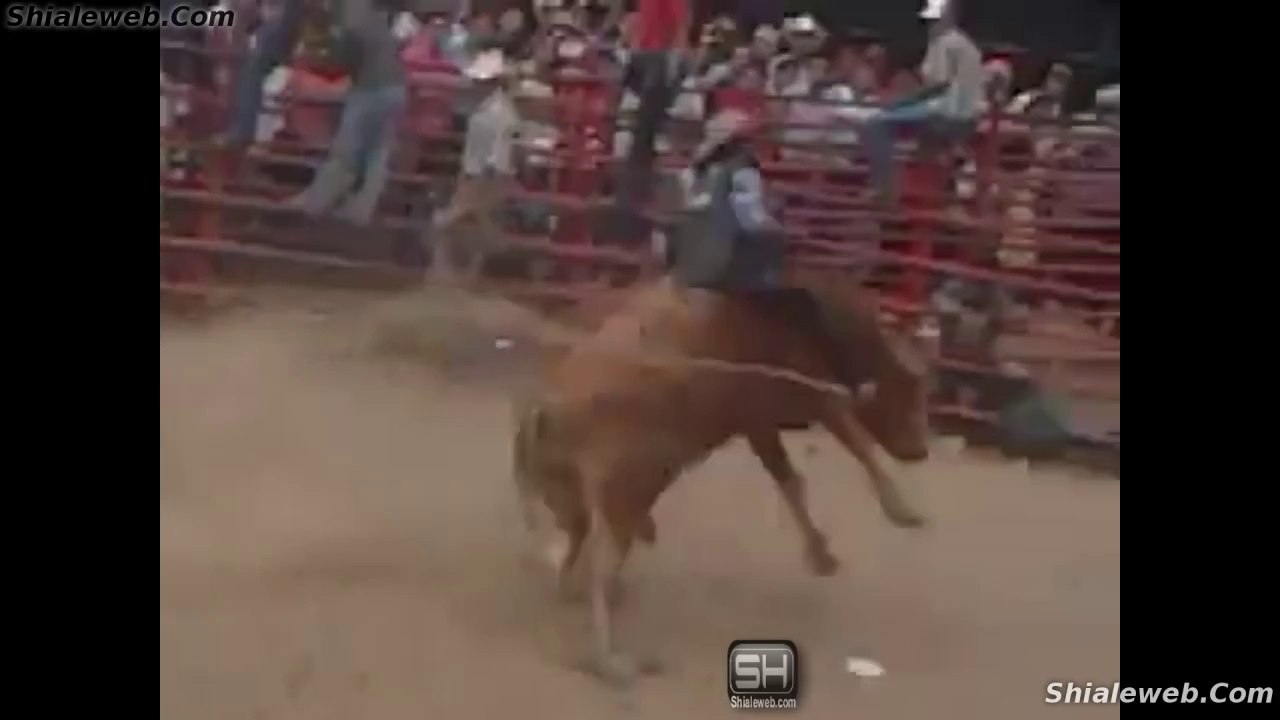 JARIPEO EN EL PALMAR CHIQUIMULA GUATEMALA TOROS SALVAJES FLACOS SON MONTADOS POR JINETES CON ESPUELA LIBRE CAIDA SUSTOS Y PORRAZOS MAYO 2015