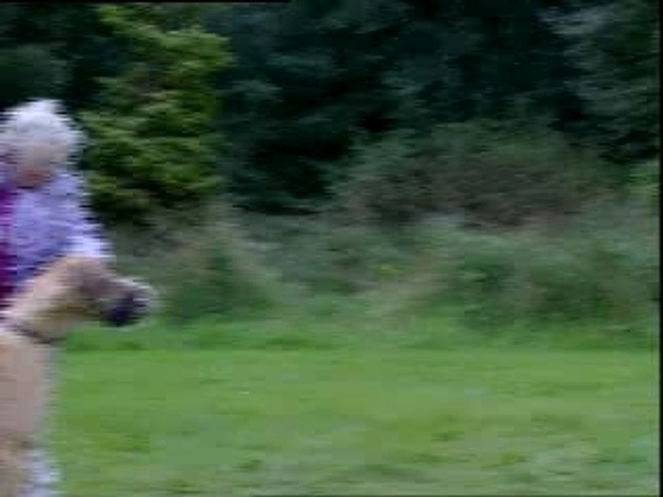 promenade avec son chien...