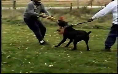 Ken McCoy & his Canis Panther, Shadow