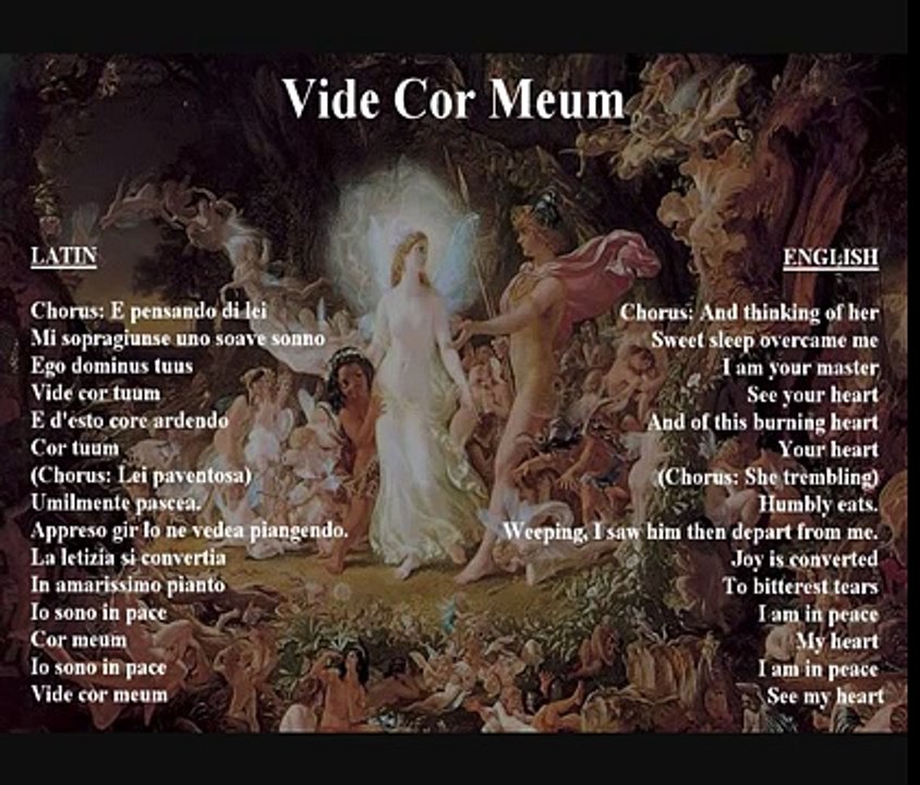 Vide Cor Meum - original libretto in Italian / latin with translation.