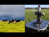 Sydney researchers develop robotic herder