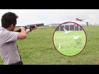 空港警察　別の顔はハンター