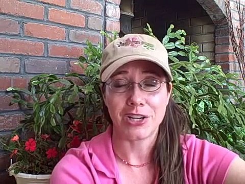 Creating Heart Centered Connection with Your Horse