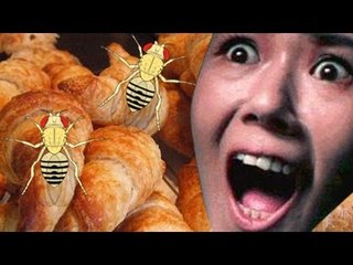 給食にハエ入りのパン　岐阜