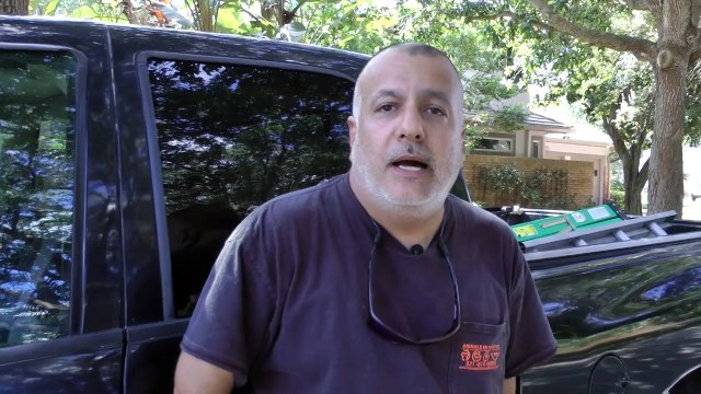 Raccoon Facts; Raccoon Misconceptions - Animals In The Attic Melbourne FL 32935