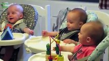 Funny Triplet Babies Laughing Compilation