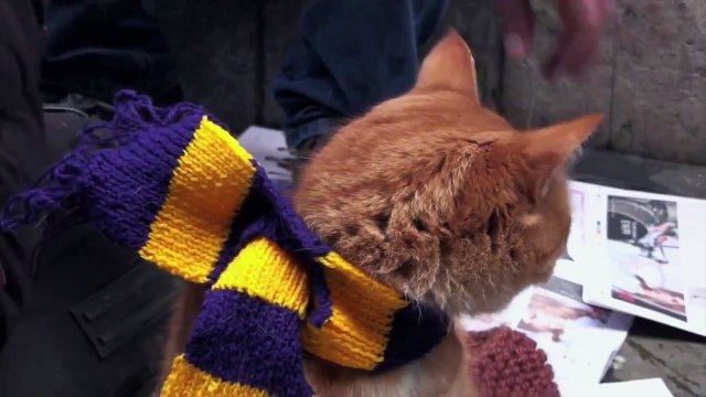 A Street Cat Named Bob: How One Man and His Cat Found Hope on the Streets