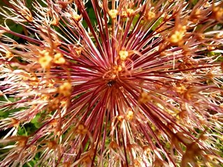 Phil Wickham - You're Beautiful