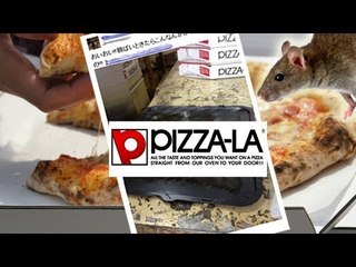 ピザーラ　厨房にネズミの死骸