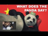 What Does the Fox Say? (parody) - What Does the Panda Say?