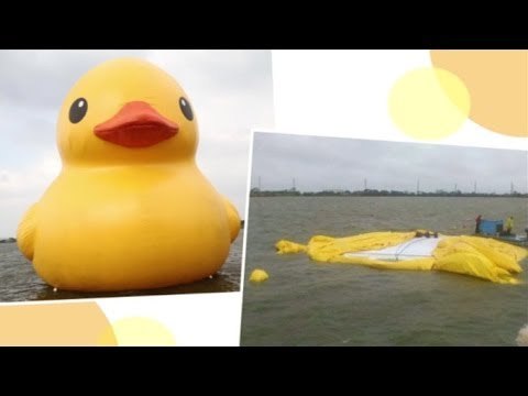 Giant rubber duck pops in Taoyuan following earthquake
