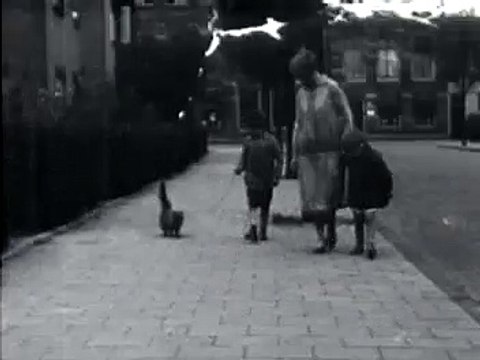 Angorakat - 1 januari 1929