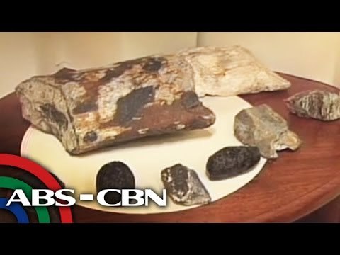 Buto ng mga sinaunang hayop nahukay sa Kalinga