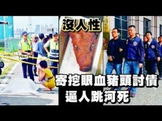沒人性寄挖眼血豬頭討債 逼人跳河死 2012.11.23
