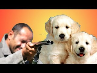 Gunman Michael Guzzo shoots and kills Moore family over barking dogs