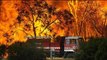 Australian bushfires expected to create rare high-altitude cloud