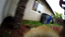 Abby Siberian Husky With GoPro Fetch Mount in Slo Mo