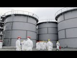 Fukushima radiation leak: TEPCO admits contaminated water leaked from tank