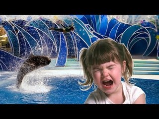 ショーでクジラ飛び出し大騒ぎ