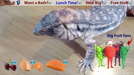 ☜ Giant lizard comes when called