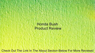 Honda Bush Review