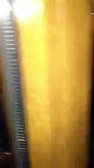 Волк у мечети Wolf at the mosque