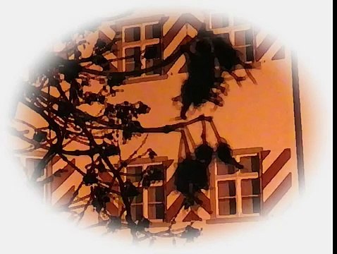 Mozart Eine kleine Nachtmusik ( Wolfgang Amadeus Mozart ) Best of Classical Music Period Ever 100